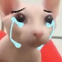 pe_mrcat2 Discord Emoji