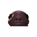 albipeek