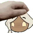 moth