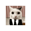 catmrbusiness Discord emoji