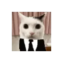 catmrbusiness
