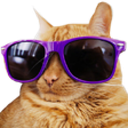 catcool Discord emoji