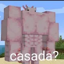 casada casada