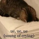ueueueue ueueueue