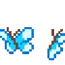 butterflies