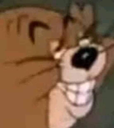:jerry: