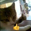 thumbupkitty