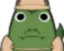 GatorStareChamp