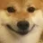 dogesmile