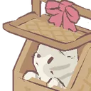 catPeek catPeek