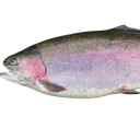 adsfremovebgpreview Discord Emoji