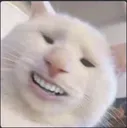urh