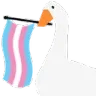 transgoose