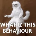 exe_ye_kya_behaviour_hai