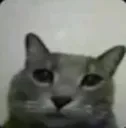 ca1