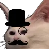 ClassyOKRetard