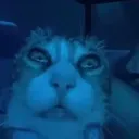 aep_cat_iveseenunspeakablethings aep_cat_iveseenunspeakablethings