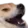 Doge Kek dogekek Discord Emoji