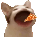 zpopcat_pizza
