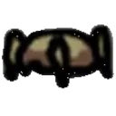 spiderpet
