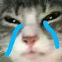 cri