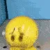 Y_ohnoo