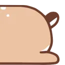 shBrownLong3