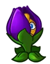 ShrinkingViolet ShrinkingViolet