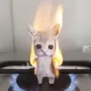 burnforsin