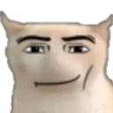 roblox_cat roblox_cat