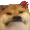 angryboi