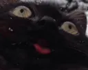 kitkederp2