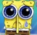 spongesad