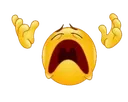 WHY