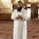 allah