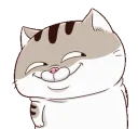 GF_cat_smile