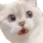 858985201073258496