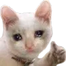 632894400157974539