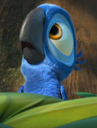 ScaredAnyoneBlu Discord emoji