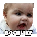 TE_bochlike