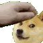 pettingdoge
