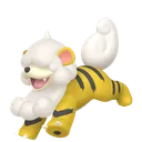 growlithehisuishiny