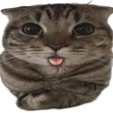 CatBlep