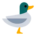 tf_duck