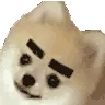 doghehe