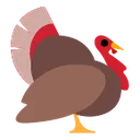 tf_turkey tf_turkey