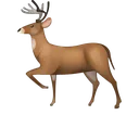 reindeeremojiiphonepngfavpngvexf Discord Emoji