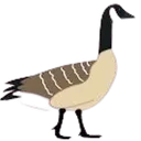 goose