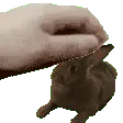 pet_the_meli