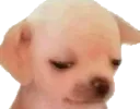 densivePog